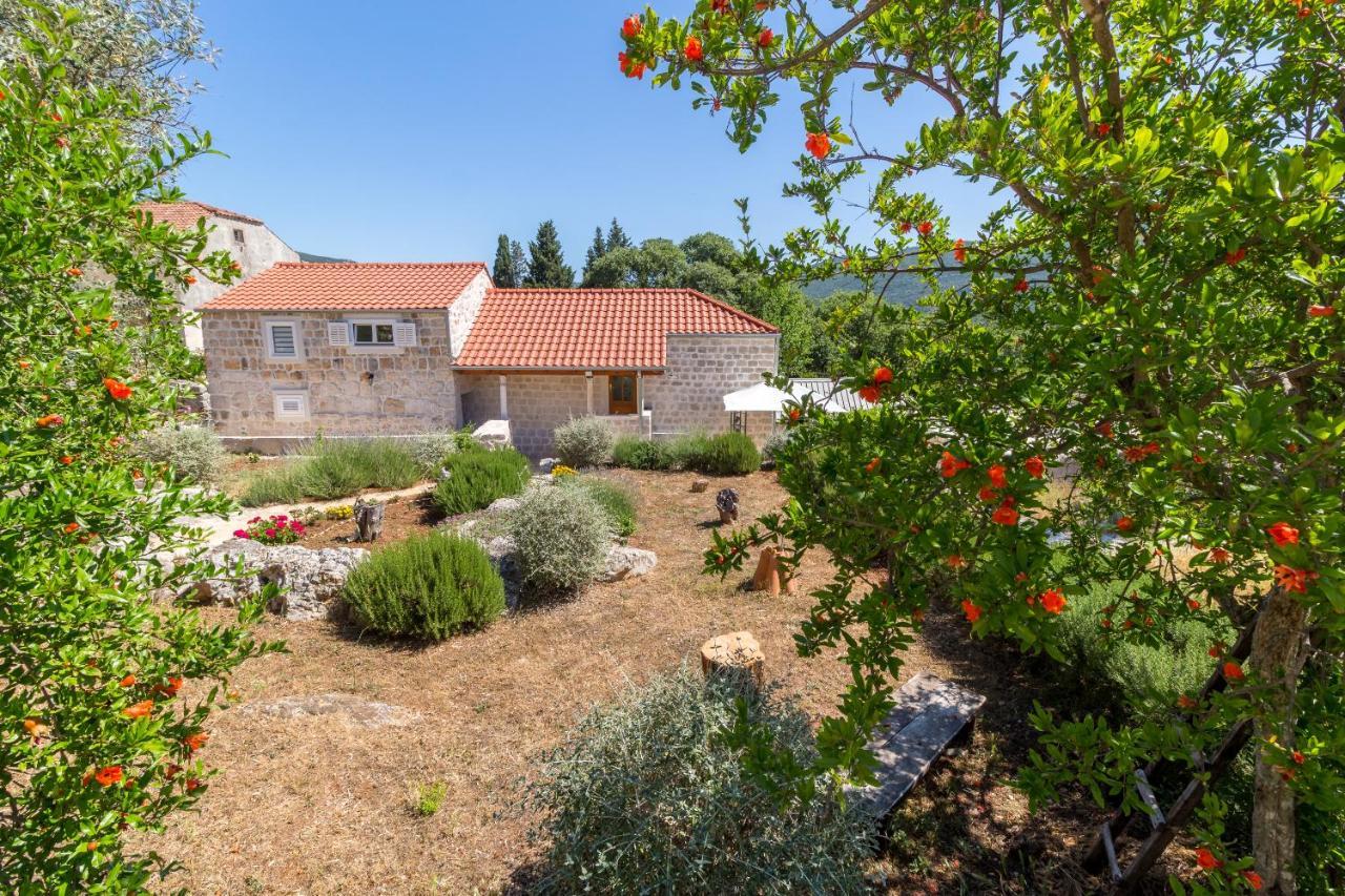 Olive Garden Apartment Ston Exterior foto